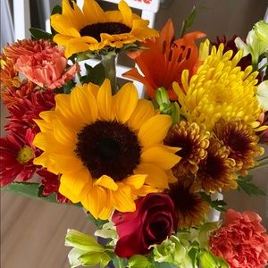 Meet your Posher, Emma